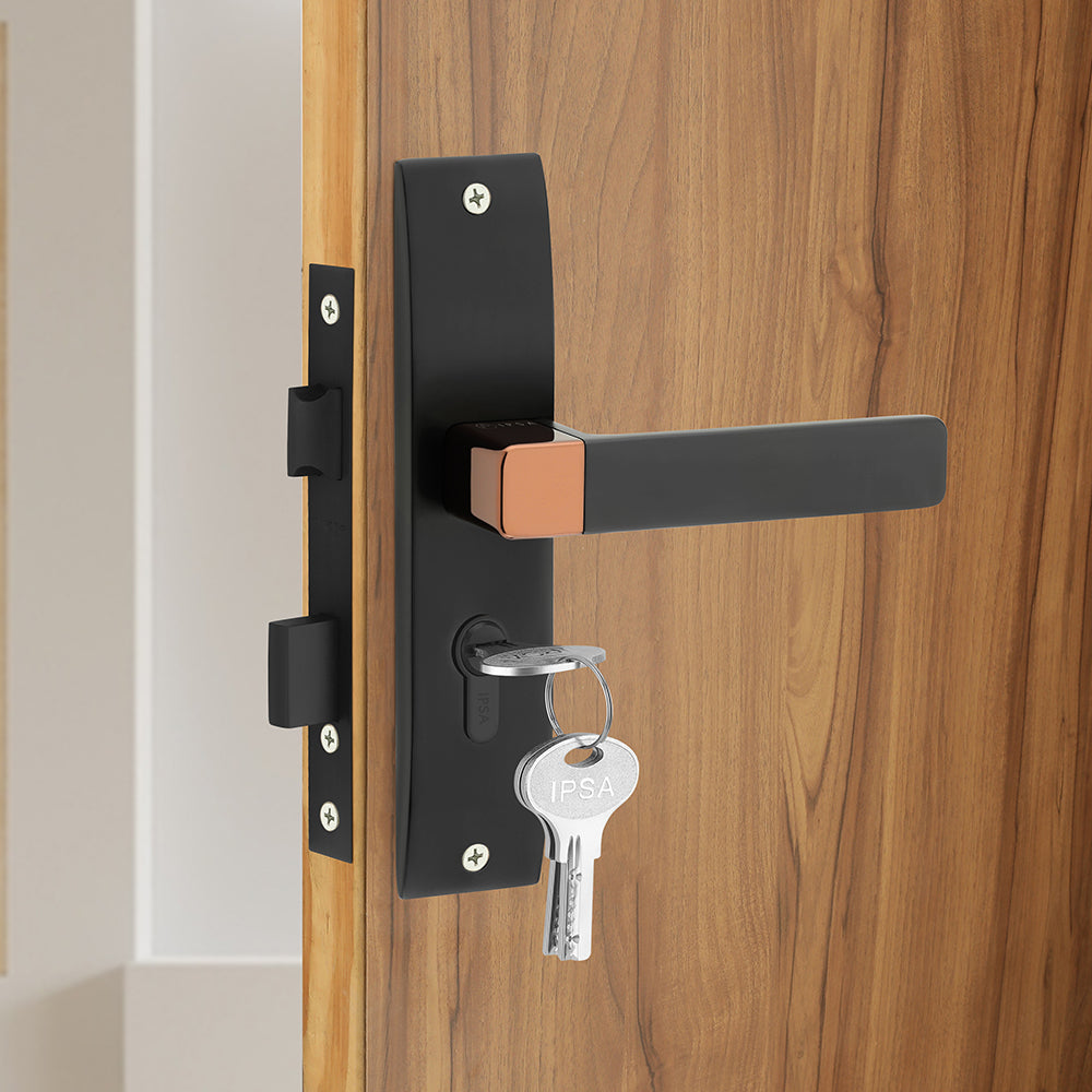 IPSA Ink Iris Handle Series on 10" CY Lockset with 60mm Both Side Key and Knob - Finish BRG